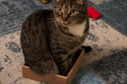 Customer centric strategy